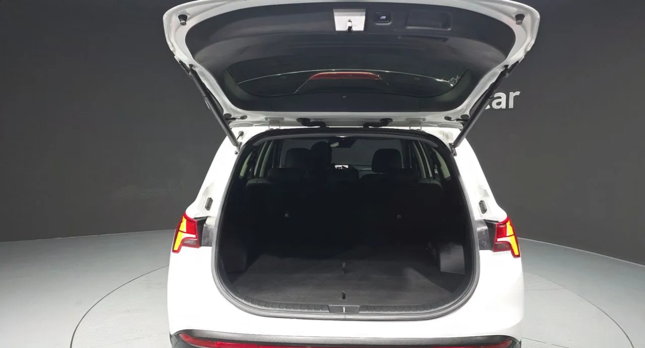 Hyundai Santa Fe Prestige — фото 20