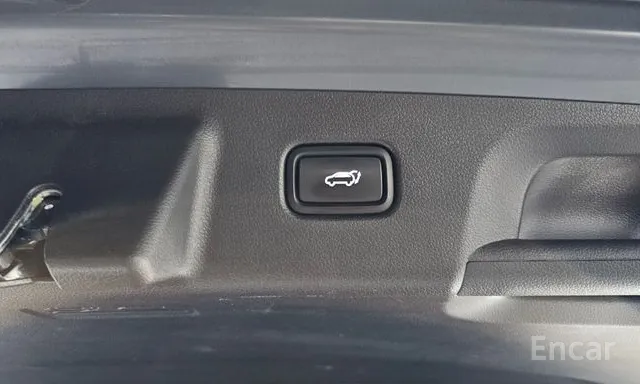 Hyundai Palisade Prestige — фото 21