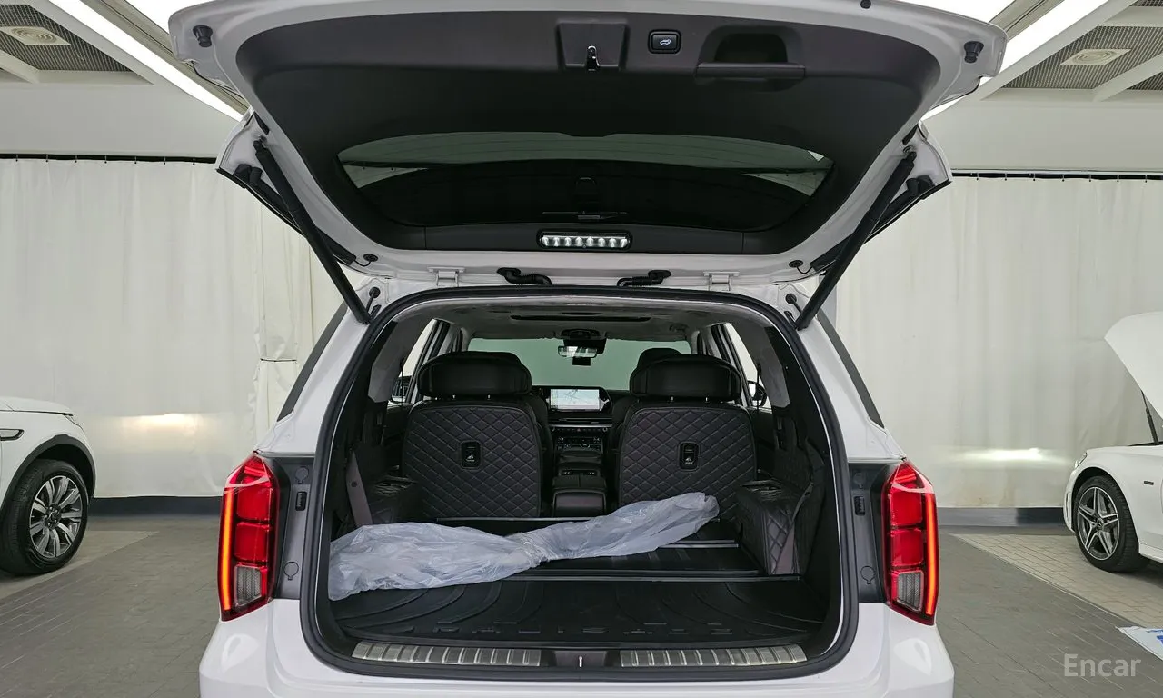 Hyundai Palisade VIP — фото 19