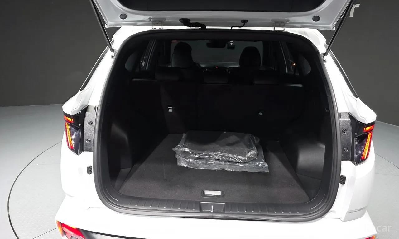 Hyundai Tucson N Line Premium — фото 20